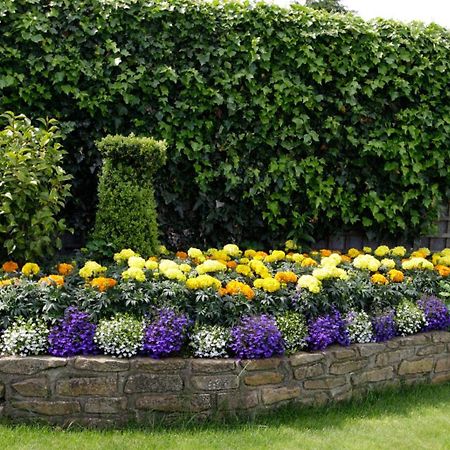 Rosemount B&B Dundalk Zewnętrze zdjęcie