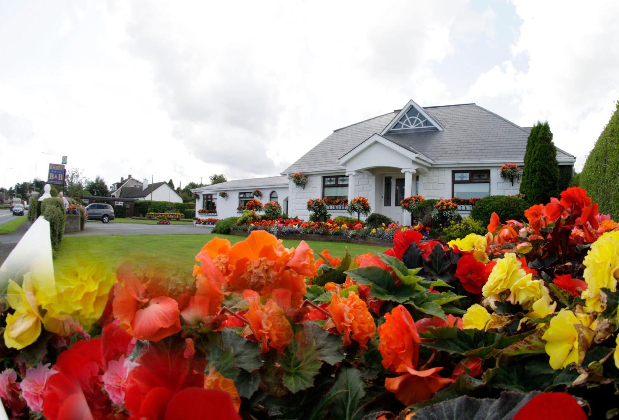 Rosemount B&B Dundalk Zewnętrze zdjęcie