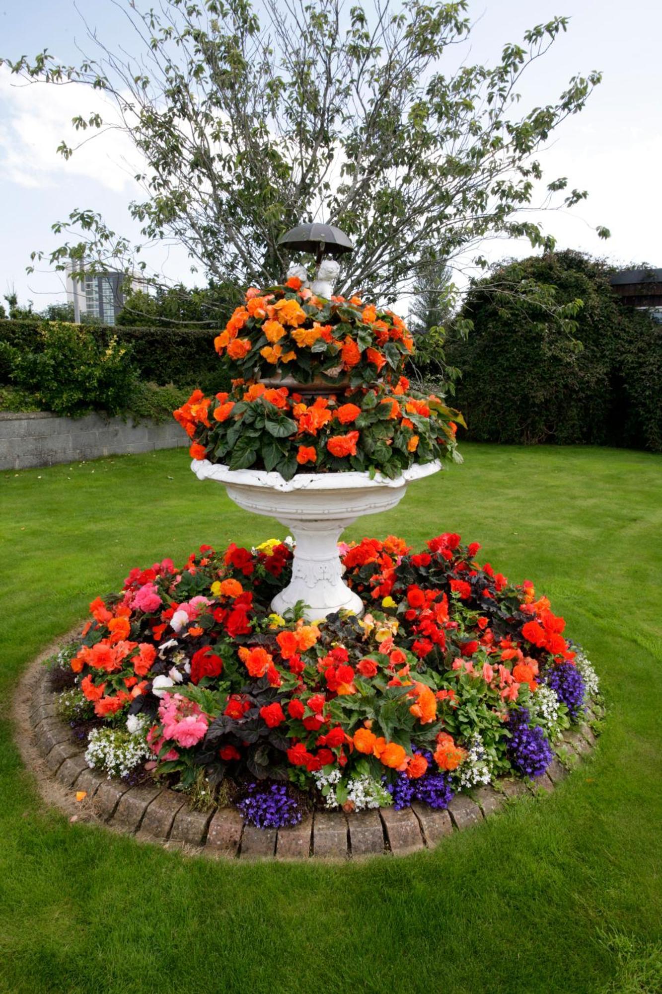 Rosemount B&B Dundalk Zewnętrze zdjęcie